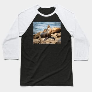 California Sea Lion Portrait Baseball T-Shirt